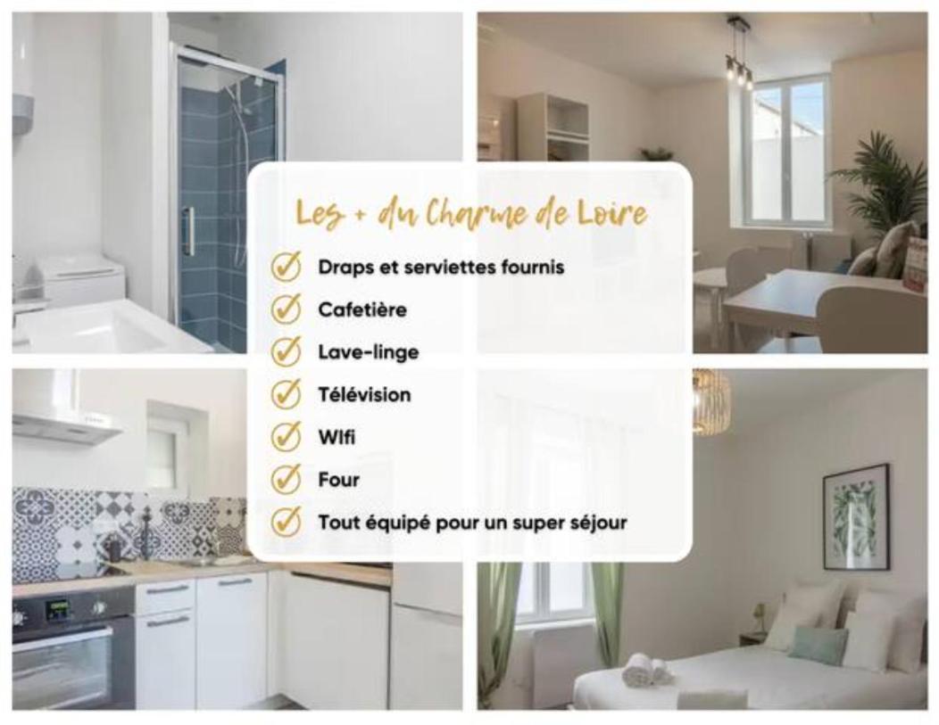 Charme De Loire A St Ay *T2* Apartment Saint-Ay Ngoại thất bức ảnh